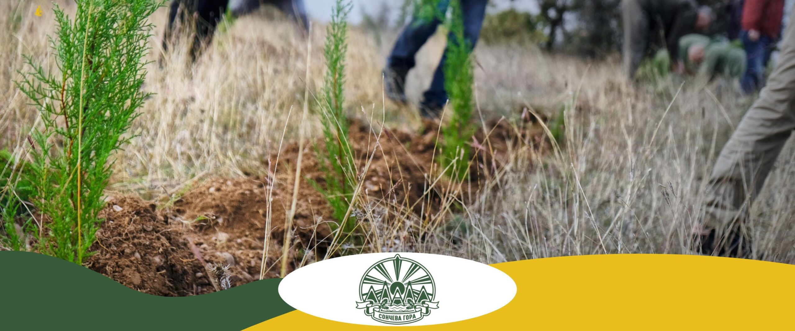 Website Banner - SG4